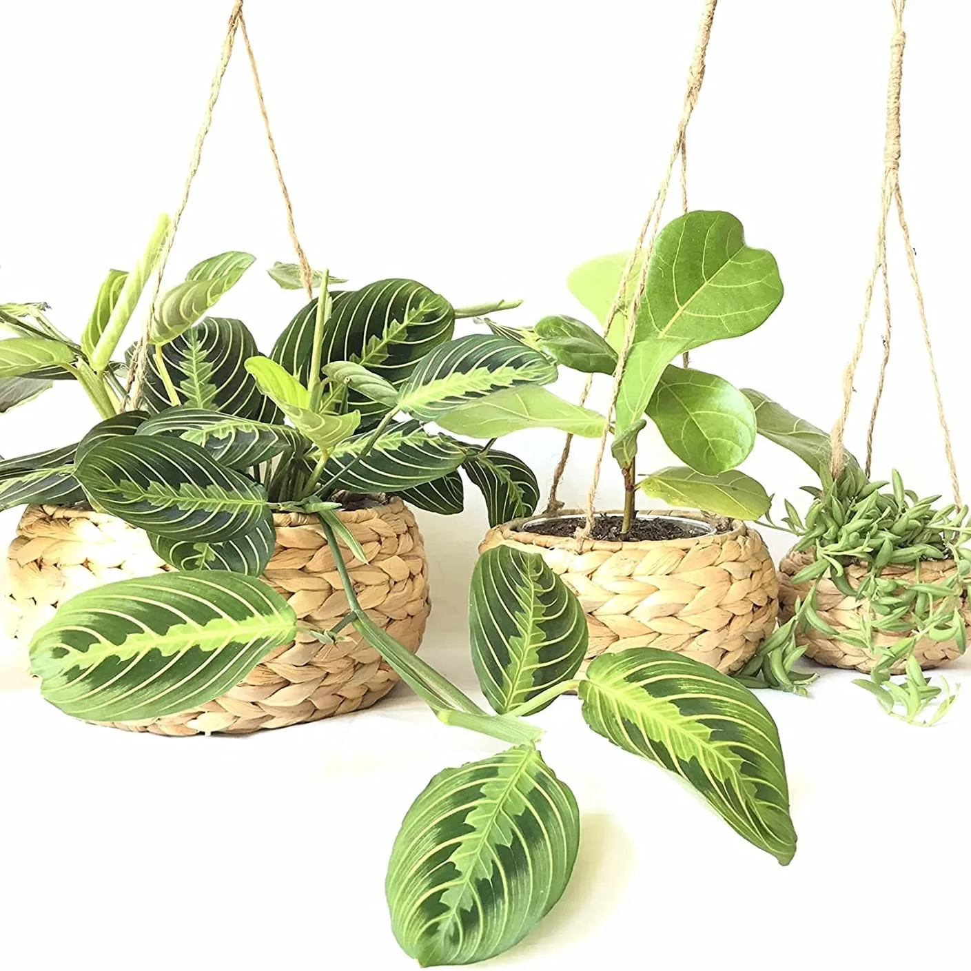 Cheap price water hyacinth plant pot flower eco friendly container pots made in Vietnam wholesale