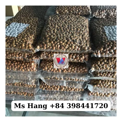 GOOD PRICE | Sacha Inchi Nuts/ Inca Peanut/ Plukenetia Volubilis From Factory In Vietnam