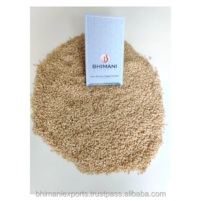 Premium and Best Quality White Sesame Seeds Wholesale for Human Consumption and Industrial Use