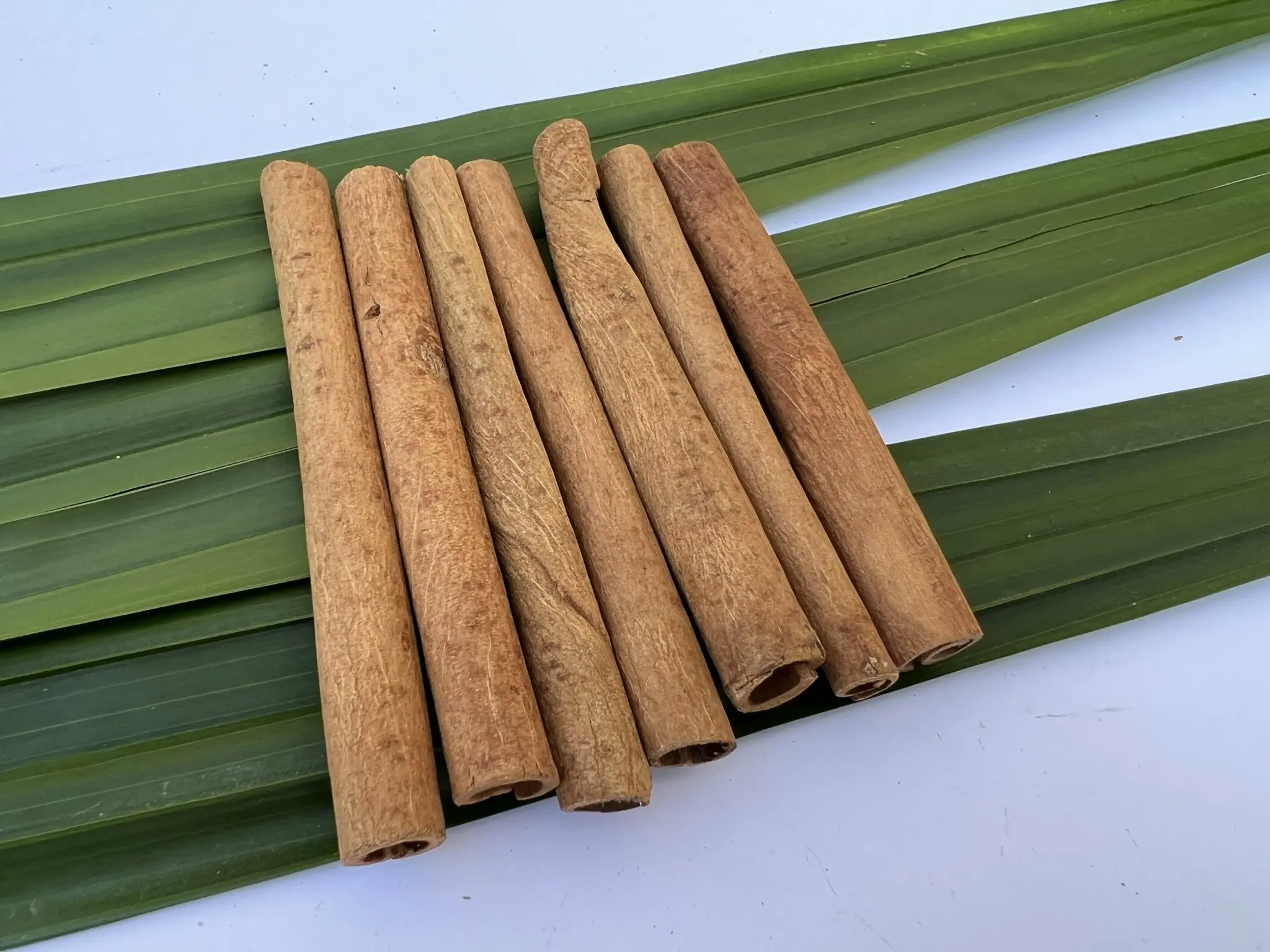 2024 Dried herbs Sticks Cinnamon Peeled Cinnamon Stick Cheap Price From Vietnam