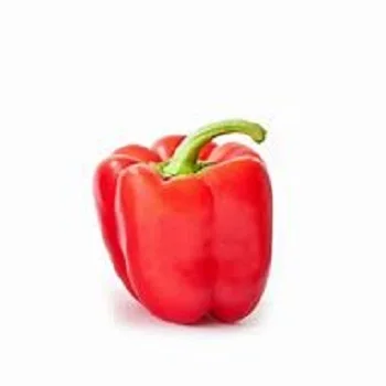 High quality colourful bell pepper