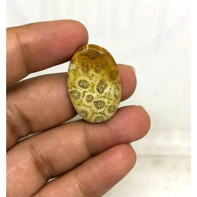Natural Fossilized Coral Loose Cabochon mix shape in all size Handmade Nice Coral Cabochon Loose Gemstones Making For Jewelry