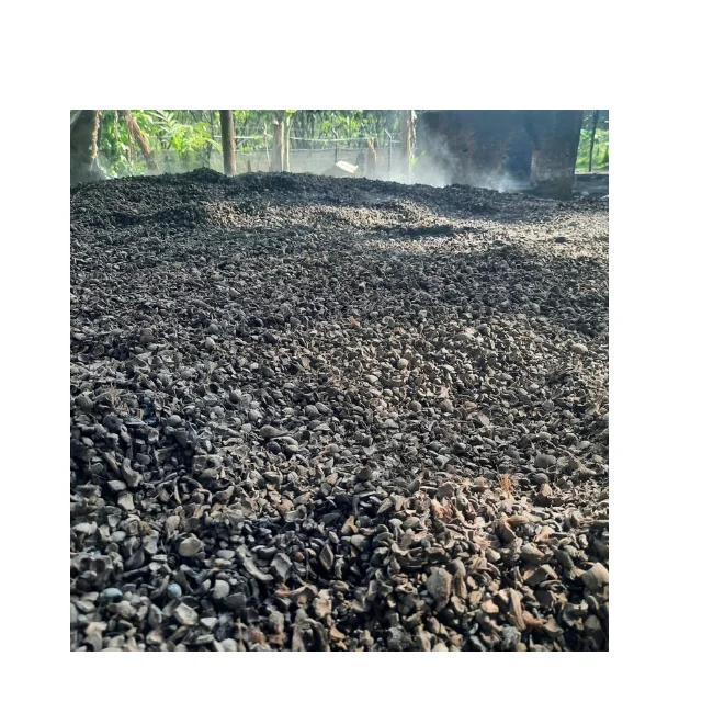Palm Shell Charcoal From Indonesia/Envico Bright Indonesia