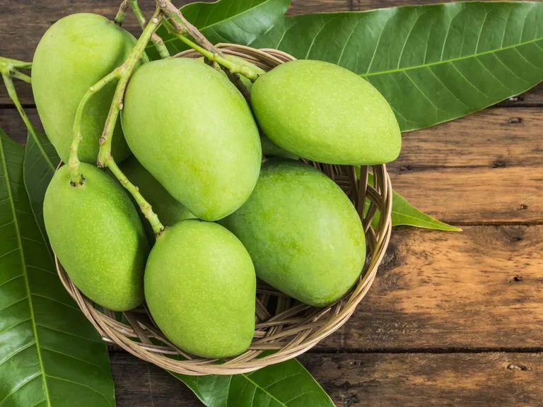 Wholesale 100% Natural Fresh Organic Mango From Vietnam Ready to Export Premium Grade of Fresh Mango Sweet Taste