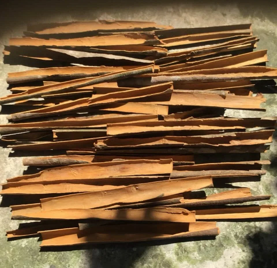 Лучшая цена, сплит корица, сделанная во Вьетнаме, высокое качество // Ms.Emily (WhatsApp + 84-353-650-238)