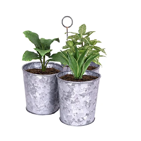 Newest Design Galvanized Plants Planter Customized Size and Shape Tin Planter at Reasonable Price Planter