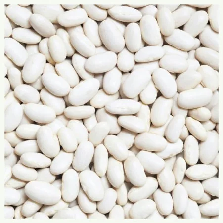 Highest Quality Natural Wholesale Top Grade White Kidney Beans For Exporting High Quality Large Big White Kidney Beans