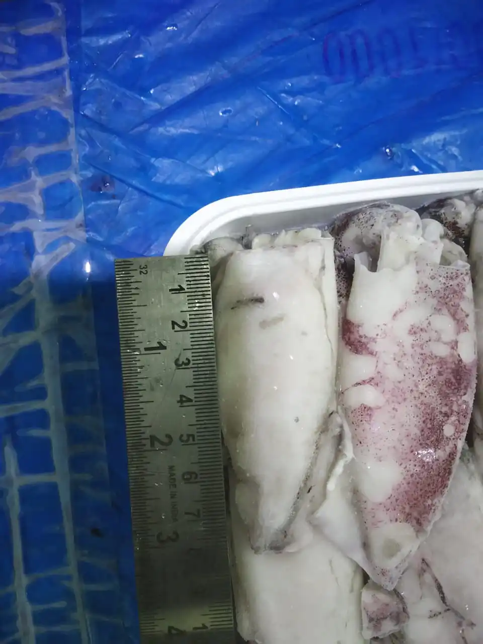 SQUID WHOLE TRAY PACK