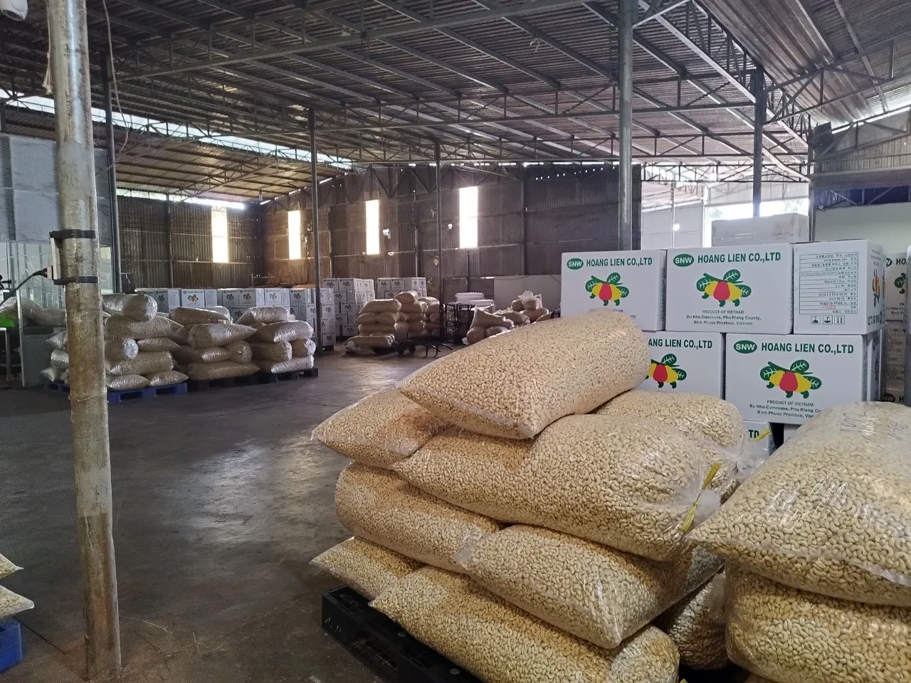 Competitive Price Provide Protein VietNam Factory Whosale White Cashew Nuts W320 W240 W180 High Quality Dried Nuts Kernel
