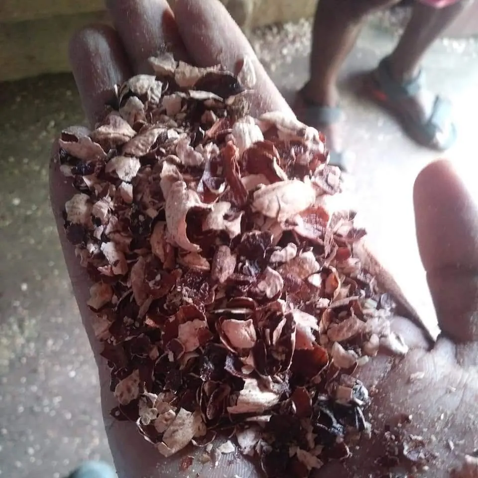 CASHEW HUSK