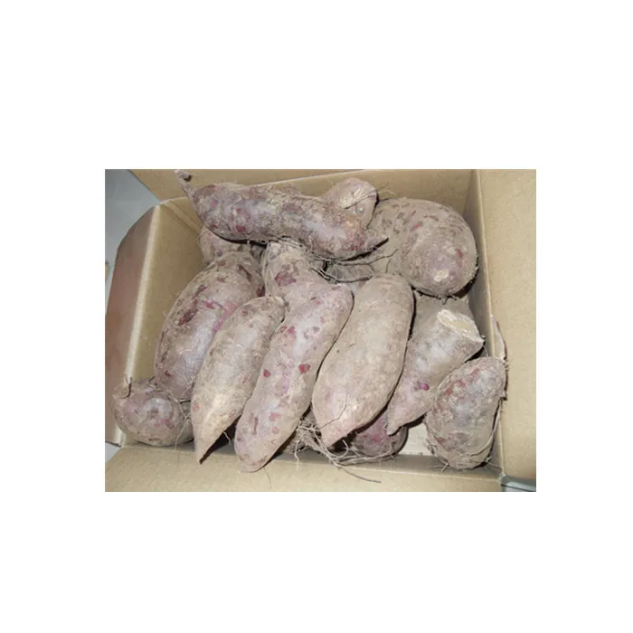 Свежий фиолетовый сладкий картофель 2021/дешевая цена свежий фиолетовый сладкий картофель