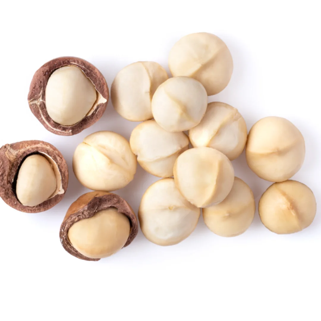 [Free Sample] Ready to Ship 100% Macadamia Nuts Cracked Dried Size 22mm - 25mm Origin Vietnam Service Private Label