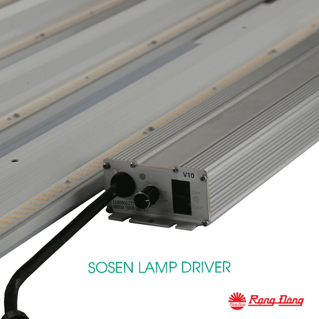 Hyphotonflux Lights Dimmable Full Spectrum LED High Power Grow Light Indoor With Removable Driver