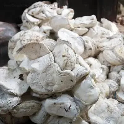 TANZANIA HIGH QUALITY NATURAL RUBBER LATEX DC 60% HA WITH CHEAPEST PRICE TO EXPORT NATURAL RUBBER DC 60% HOT SALE IN Tanzania