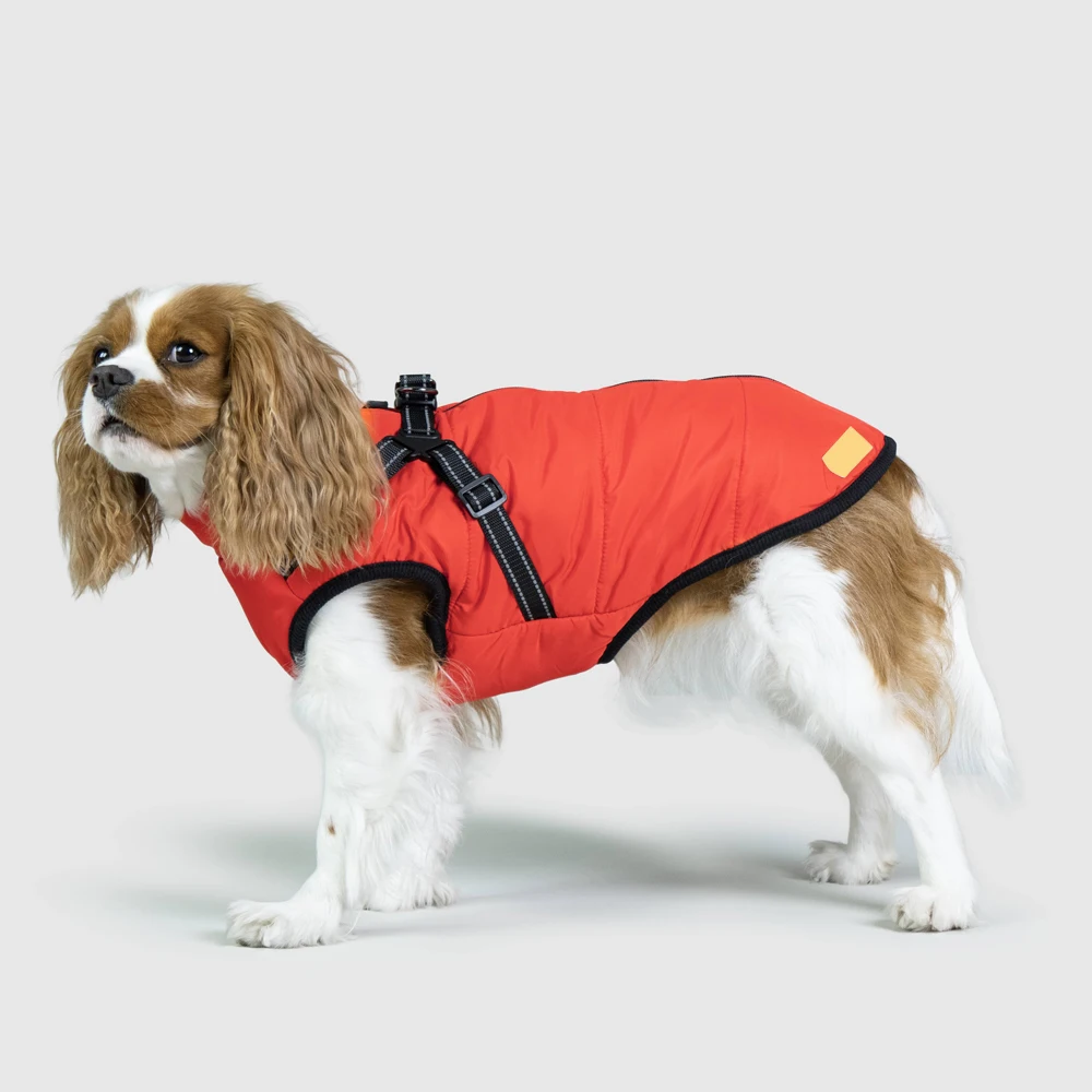 In Different Color Warm Winter Coat Jacket, In Reasonable Price Cavalier King Charles Spaniel Dog Clothes BY Fugenic Industries