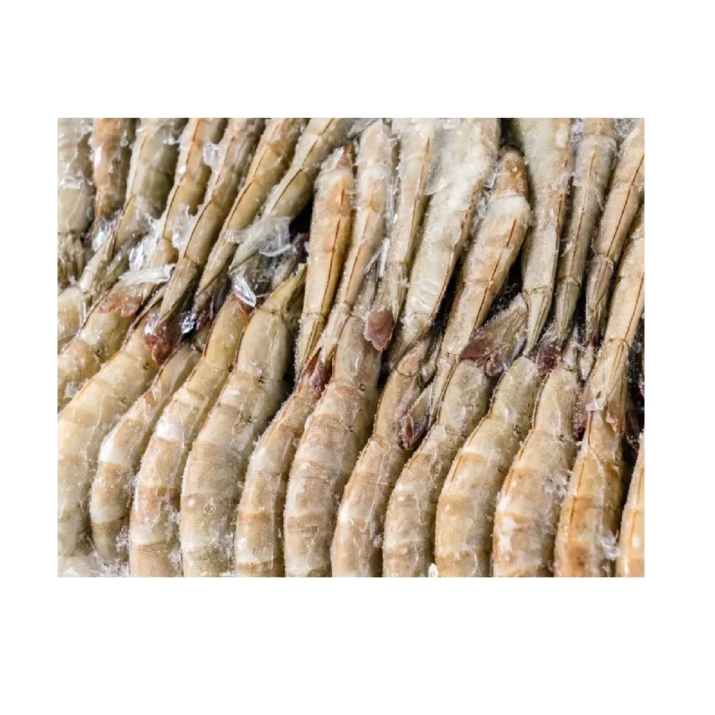 Frozen Black Tiger Shrimps for Sale Premium Quality Shrimp Frozen Fresh and Ready for Fast Delivery Service