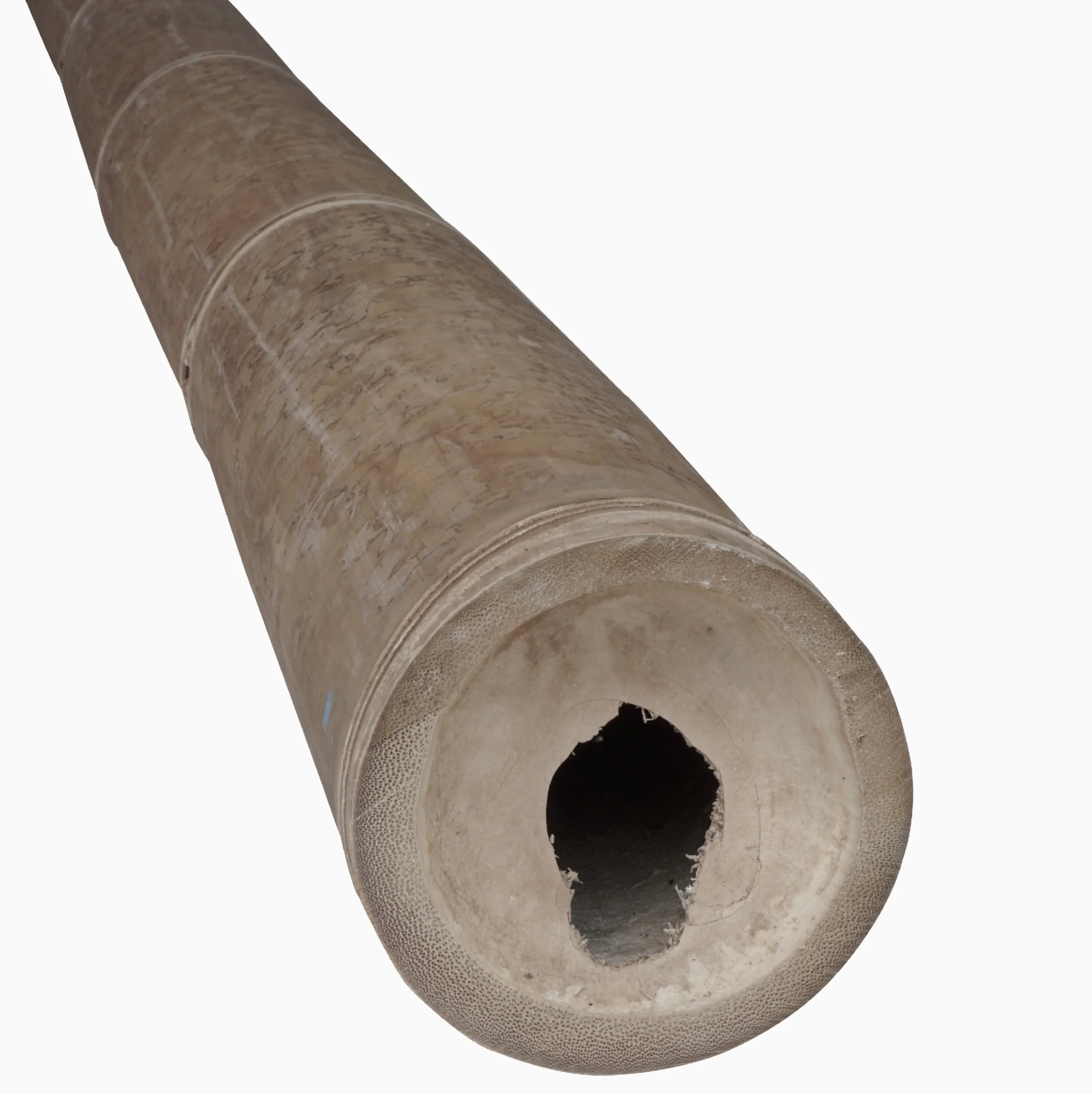 Large Bamboo Poles Raw Material 500 CM (Treated)