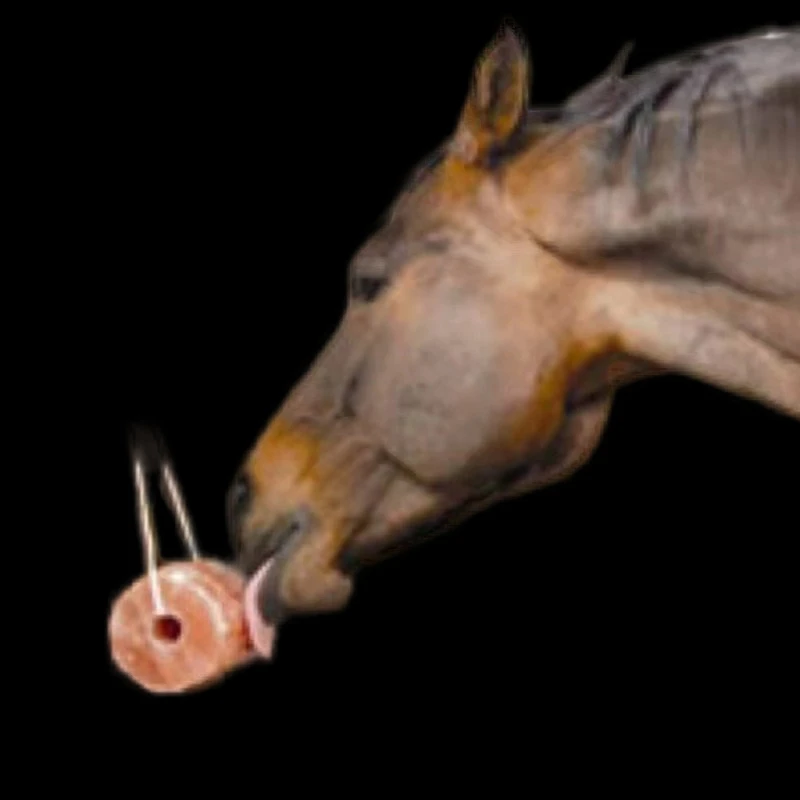 2024 Wholesale Himalayan Animal Licking Salt block Himalayan Natural Pink Salt Licks For Livestock dry place storage type