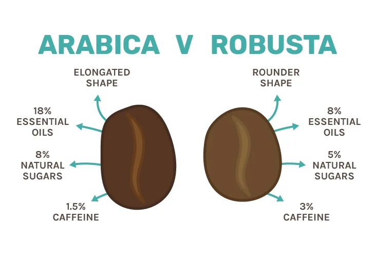 MESCAL TRADITIONAL ROASTED COFFEE BEANS Colombia COLOMBIAN Packaging PACK Shelf Origin Type Life VALVE Variety Grade Bean FRESH