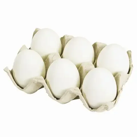 Best Quality Fresh Brown Table Chicken Eggs Cheap Fresh Chicken Table Eggs Fresh Chicken in bulk Brown Eggs from Brazil