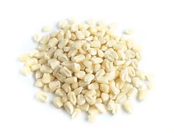 white corn.jpg