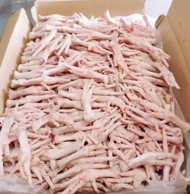 Factory Direct Frozen Premium Quality Chicken Feet Paws Supplier High Quality Chicken Feet Paws Bulk Supply from Germany