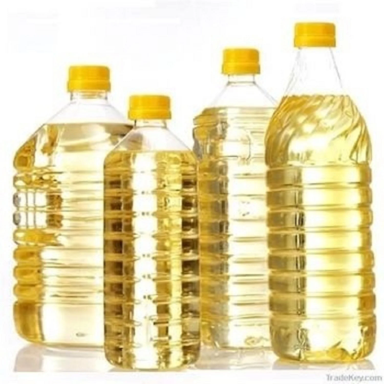 100 % Pure Refined Rapeseed Oil 100% Crude & Refined Rapeseed Oil