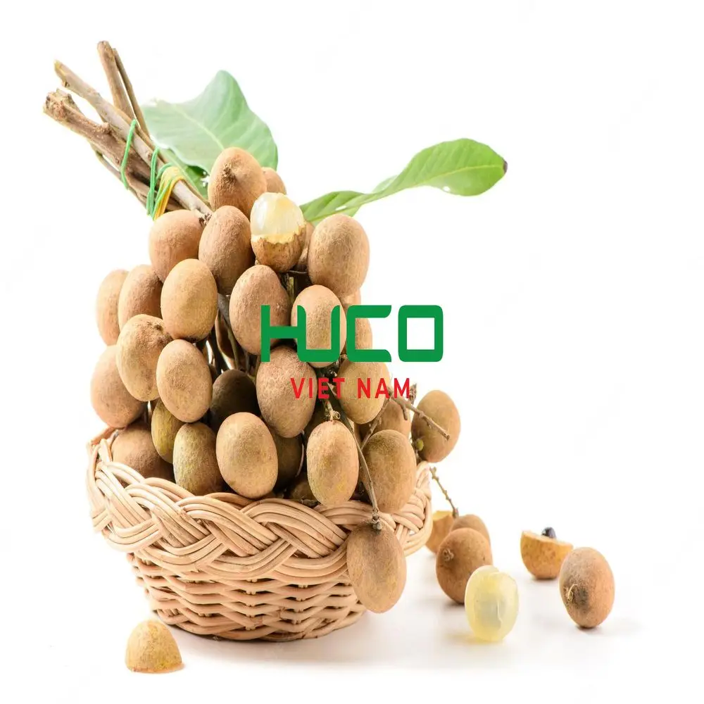 VIETNAM LONGAN FRUIT ON SALES - Fresh Longan at low price