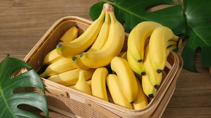 Свежие кавендишские бананы Ecuador высокого качества и вкусно