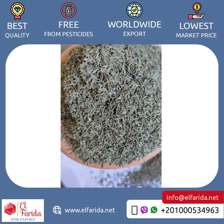 Egypt Origin Exporter of Excellent Quality Bulk Sale Single Spices & Herbs Products Green Thyme Leaves at Factory Price
