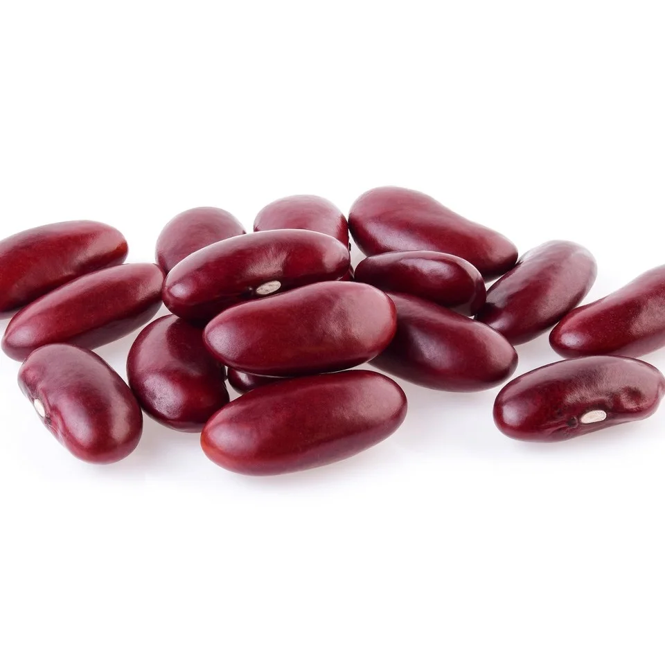 canned red kidney beans in brine with good quality for whole world