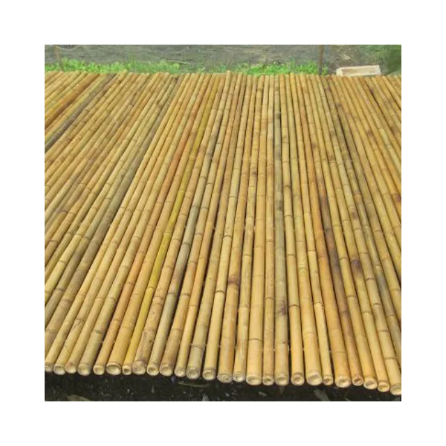 Природный необработанный бамбуковый столб с прямым полюсом из посаженного леса Anji родной город большой по конкурентоспособной цене от 99GD