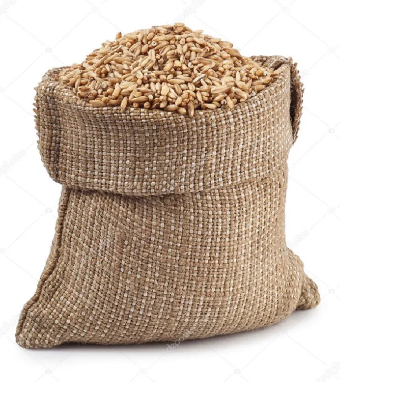 High Quality Wheat Grain for Supply Wholesale Price