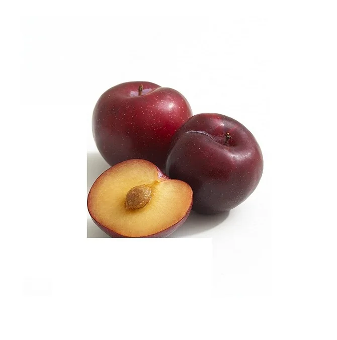 Wholesale Price Fresh Fruits Plums Bulk Stock Available For Sale