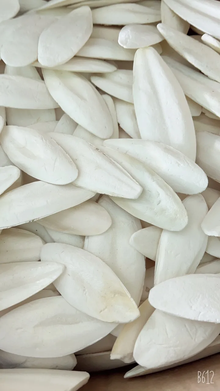 Bleached Unbleached Dried Cuttlefish Bones Natural High Quality Sun Dry Trimmed Untrimmed