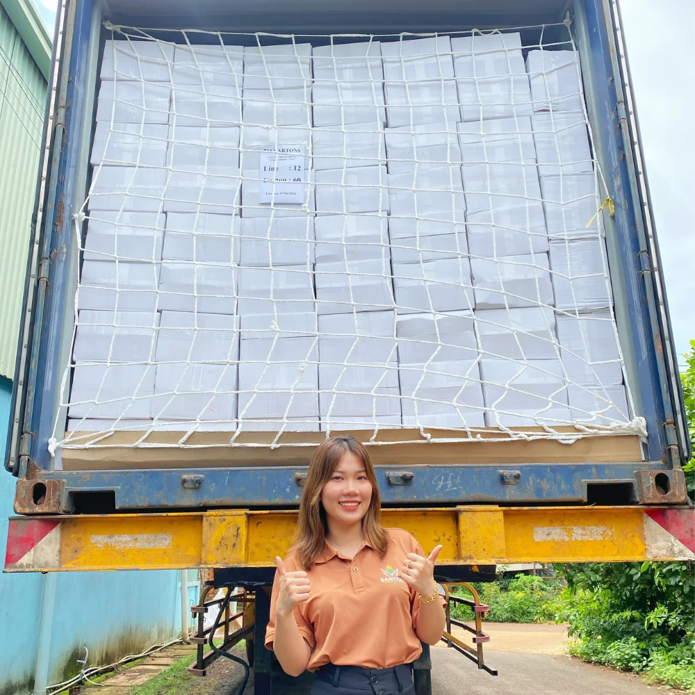 Trusted Factory Raw Cashew Nuts Cashew Nuts Vietnam Cashew Nut Customized Packing