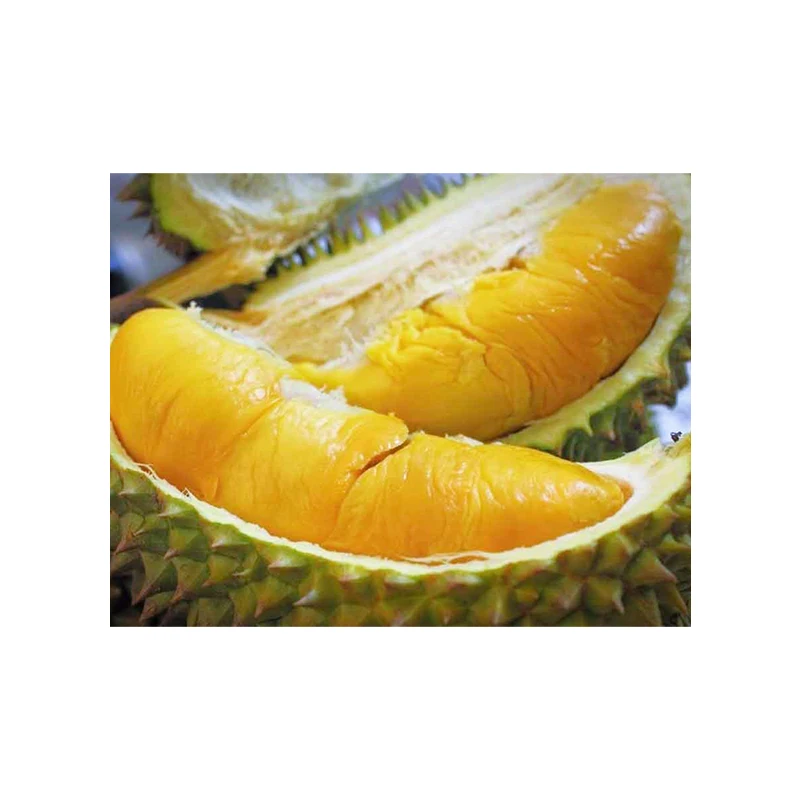 Factory Price Fresh Golden Yellow D24 Durian (Fresh Fruit) Smooth Sweet with A Slightly Bitter Taste
