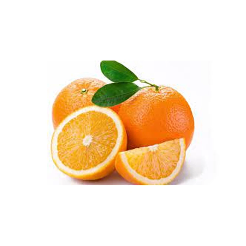 Wholesale Price Fresh Sweet Orange From Indian Exporter