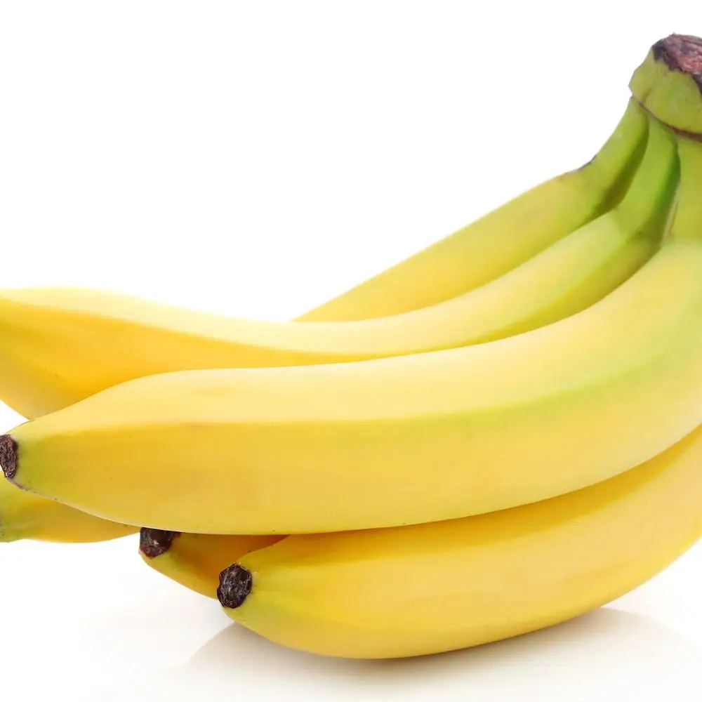 Optimum selection Fresh Cavendish Banana Exporters In South Africa cavendish bananaat banana cavendish 13 kg Cartons