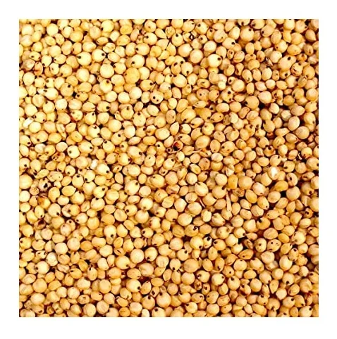 Red And White Sorghum For Sale / Sorghum Flour White / Sorghum Grains best prices