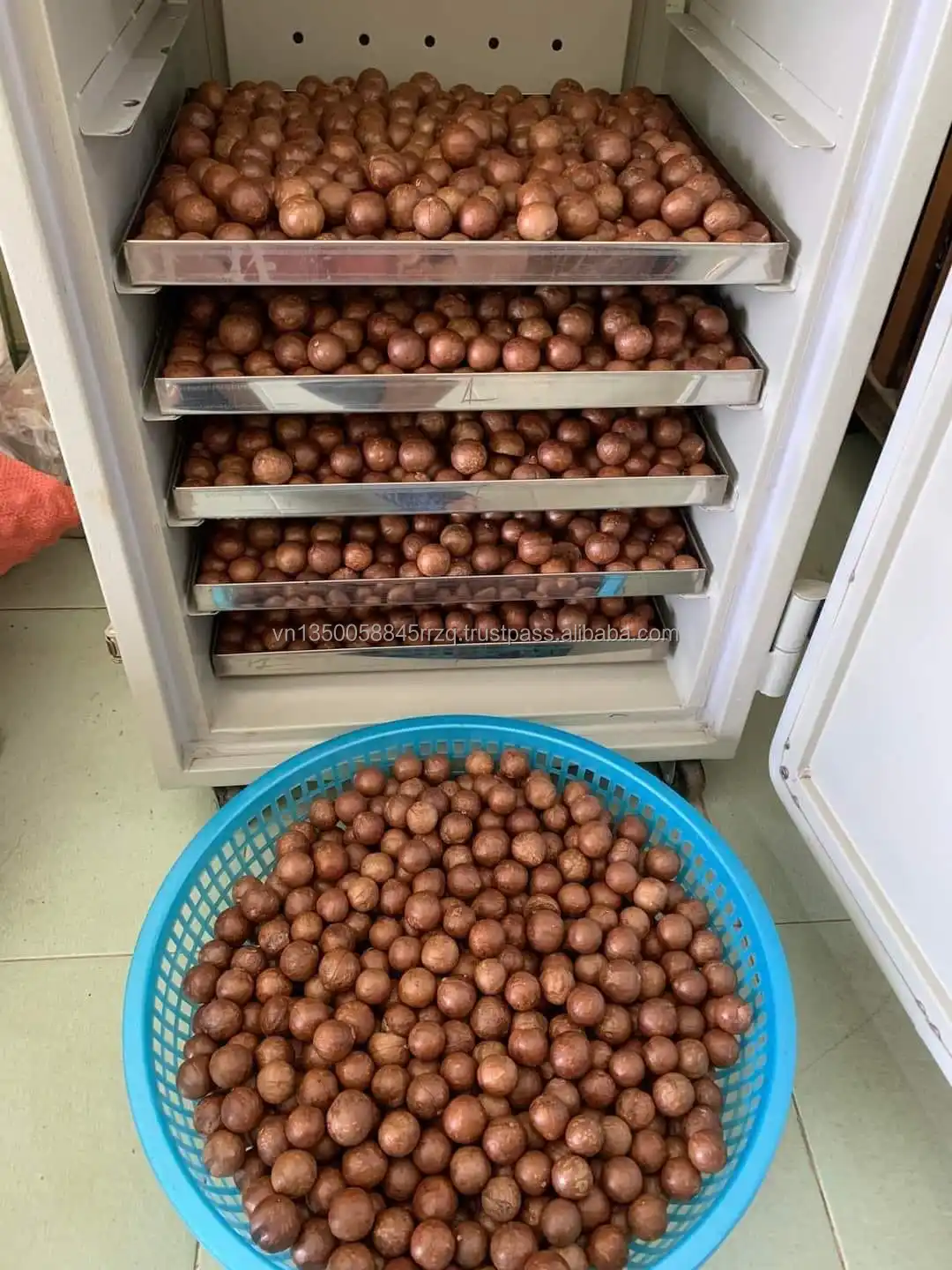 Healthy Snack Macadamia Nuts & Kernels Premium Quality Tasty Crispy Carefully Selected Professional Team Export +84363565928