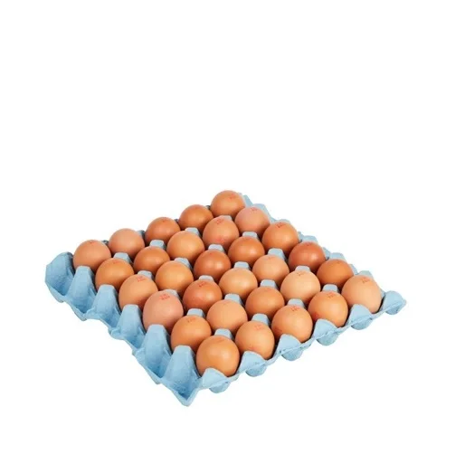 FRESH TABLE EGGS - Chicken Table Eggs