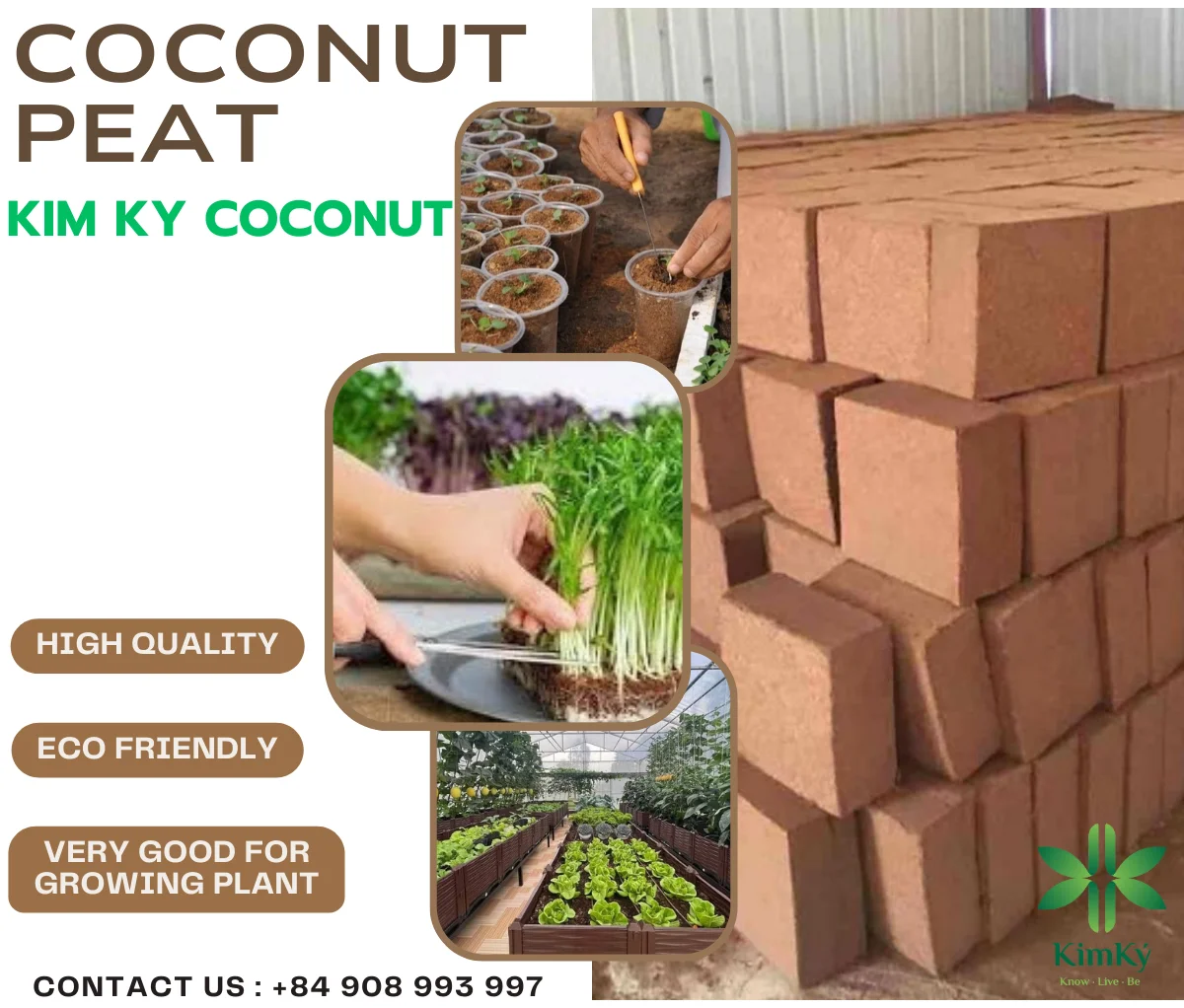 Natural Material Best Quality Coco Item Coconut Peat 4,5Kg Block For Seeding And Growing Plant With Size 29 x 29 x 15cm In 2024