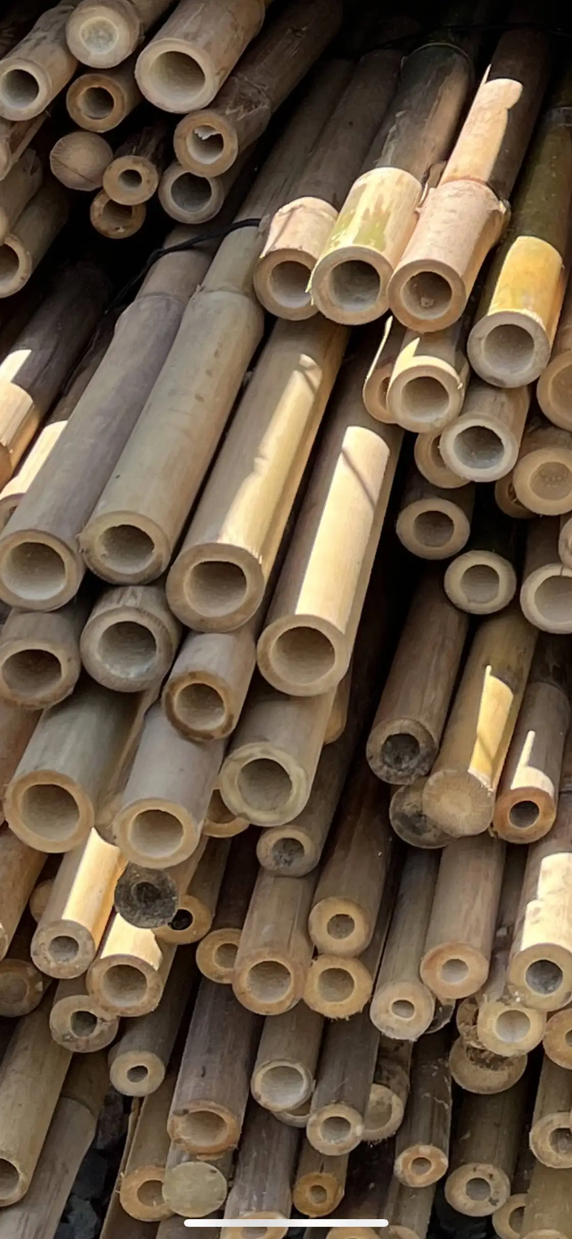 Tokin Bamboo poles for construction and interior decoration, used as bamboo houses, durable and environmentally friendly.