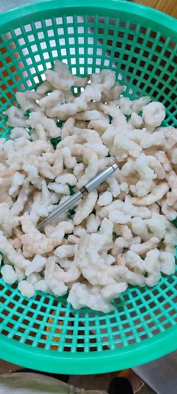 BEST SALE - FROZEN SHRIMP - HIGH QUALITY PRODUCTS