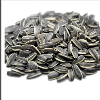 Premium Factory Supplier Wholesale Sunflower Seed 361 Sunflower Seeds Fresh Sunflower Seeds