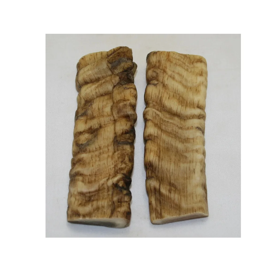 Handmade Rams Horn Scale of Standard Quality Carved Animal Style for Jewelry Handles Inlay Work or Price Agate