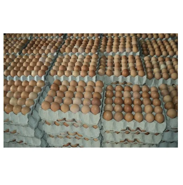 Hot Selling Fresh Brown/White Chicken Table Eggs for sale/Farm Fresh Chicken Table Eggs Brown