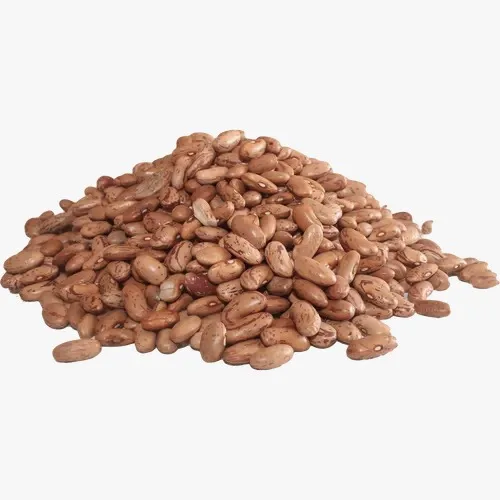 sugar beans .jpeg
