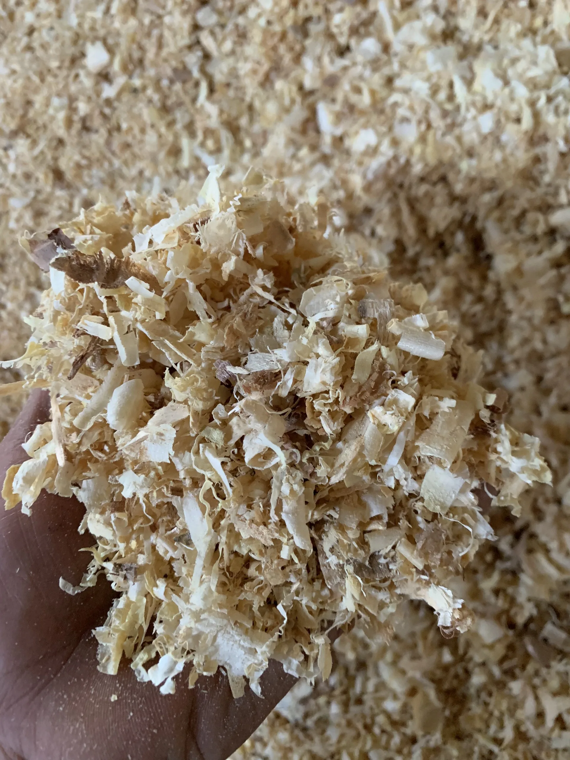 Сосновая древесина для бритья животных постельные принадлежности высокое качество 1% пыли легко использовать экономия